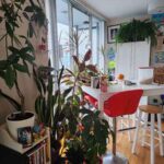 My little home forest.