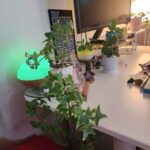 Workplace of Daniela Martins